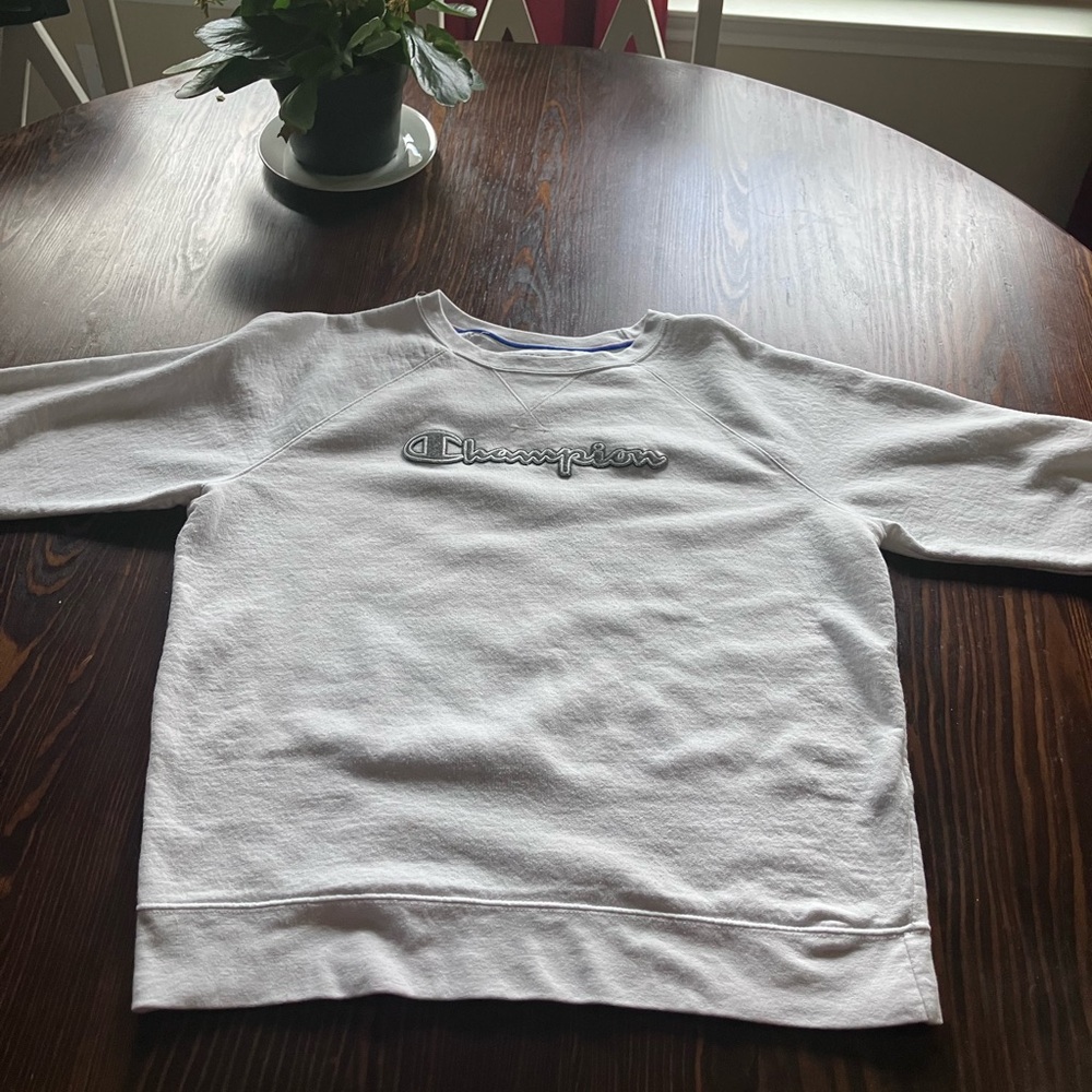 Large champion sweater